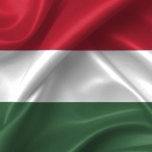 Ticket - Hungarian Party