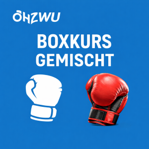ÖH WU Boxkurs